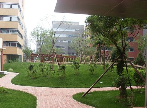 北工大軟件園10#產業用房等十四項園林綠化工程-中園山水