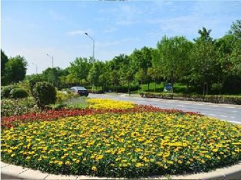 深圳園林綠化養護方案