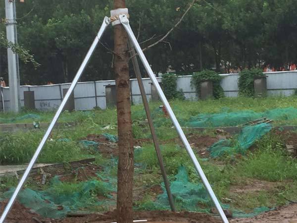 沂南園林綠化養護-可信賴的園林綠化養護推薦-書生商貿平臺www.booksi