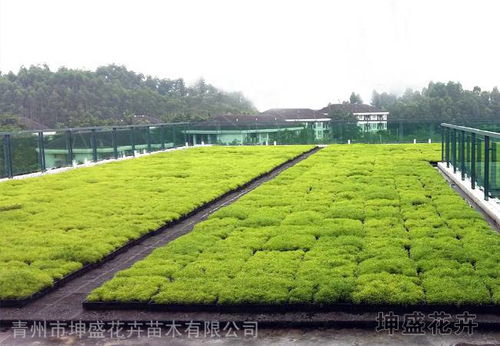 價格 廠家 中國供應商