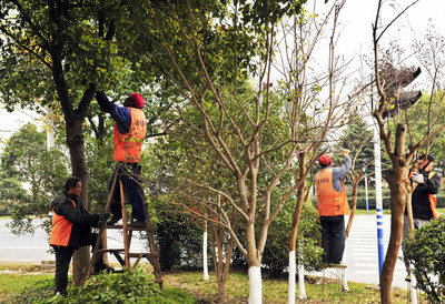 大連市園林綠化工去哪里報名簡單考取要明確哪些問題
