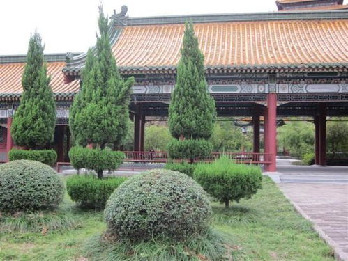 園林綠化工程入門知識,論古代園林到現在園林綠化的發展