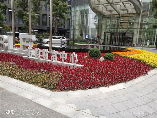 濱江園林綠化工程 騰邦園藝值得信賴 園林綠化工程施工