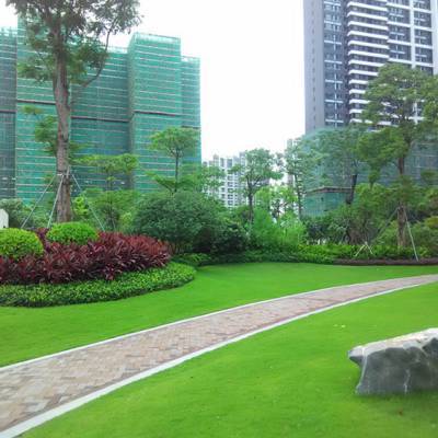 中山地產綠化園林施工價格多少錢_佛嶺景觀