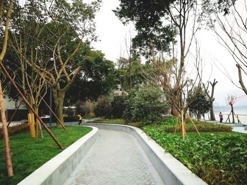 花園式街區 休閑 散步 賞花 新區都可以滿足你