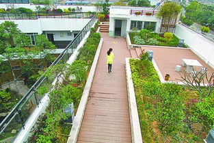福建莆田首個屋頂花園亮相綬溪公園 屋頂綠化將全面推廣