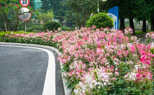 廣州園林工程,綠化公司,園林公司,深圳綠化養護,花卉種植,景觀設計與施工找麗芳園林