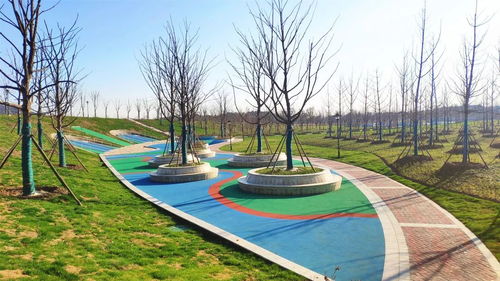面積超220000㎡ 張家港又將多一座公園