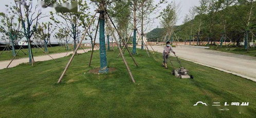 鄂州首個水上植物園開園時間定了 還建有一大橋...