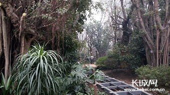 唐山世園熱帶植物館 有奧秘 有魅力