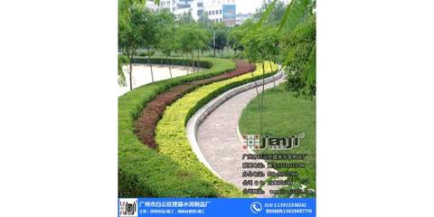 花都區校園園林綠化施工公司造價_建基水泥安全高效