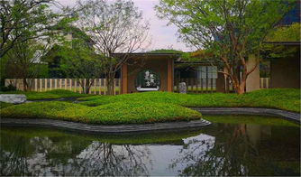 初見園林 佛山園林綠化設計施工 小學 市政 園林綠化養護