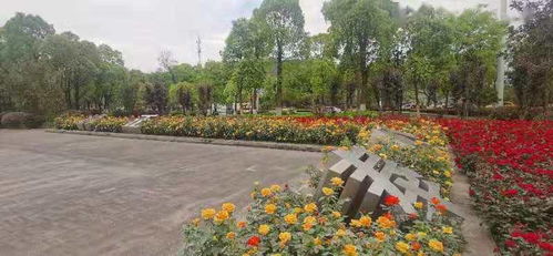 屯溪區 城市園林綠化美 一城春色半城花