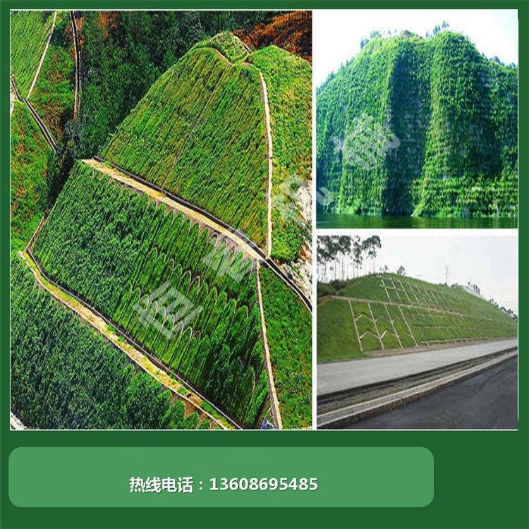 園林綠化工程施工 小區(qū)邊坡綠化 垃圾填埋場(chǎng)工程施工河南恒睿