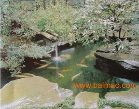 成都景觀綠化,成都園林造型,成都水景設(shè)計(jì)施工,成都景觀綠化,成都園林造型,成都水景設(shè)計(jì)施工生產(chǎn)廠家,成都景觀綠化,成都園林造型,成都水景設(shè)計(jì)施工價(jià)格