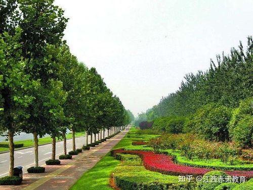 2021年怎么報(bào)考園林綠化工證要求是怎樣的