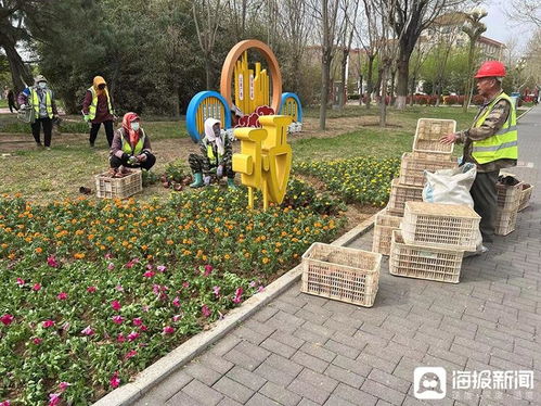 煙臺戰(zhàn)隊出手了 全市聯(lián)動版 挖呀挖呀挖 申請出戰(zhàn)鳳凰網(wǎng)山東 鳳凰網(wǎng)