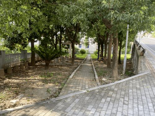 葛洲壩片區(qū)公共綠化景觀改造工程動工