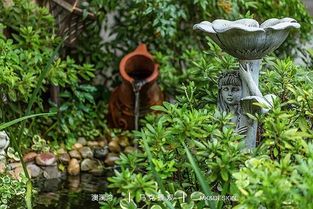 技能 花園設(shè)計改造施工景觀園林綠化工程設(shè)計施工