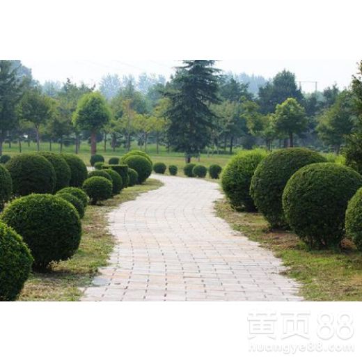 【沈陽渾南區(qū)市政綠化養(yǎng)護公司】- 