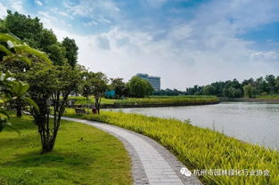 2016年度杭州市優秀園林綠化工程道路組金獎 杭州蕭山國際機場迎賓專用道路及環境提升工程景觀綠化