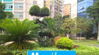 圖 專業私家花園 大型綠化工程施工 工程苗木直銷 成都鮮花綠植