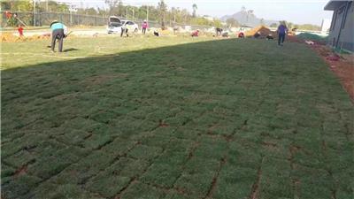 道路綠化工程施工相關產品推薦