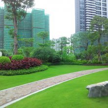 【中山地產綠化園林施工價格多少錢_佛嶺景觀圖片】中山地產綠化園林施工價格多少錢_佛嶺景觀