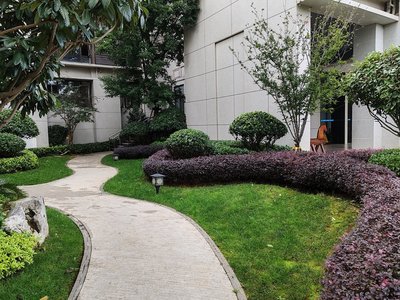 麗芳園林景觀規(guī)劃養(yǎng)護服務(wù) 一級品質(zhì) 性價比高 綠化工程施工