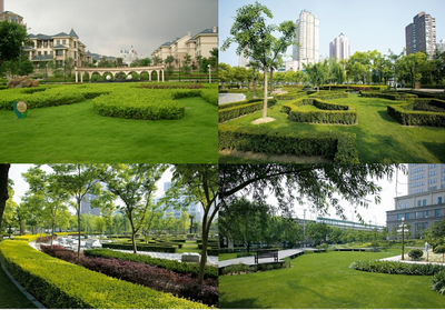北京園林綠化養(yǎng)護公司_小區(qū)綠化養(yǎng)護_別墅綠化施工