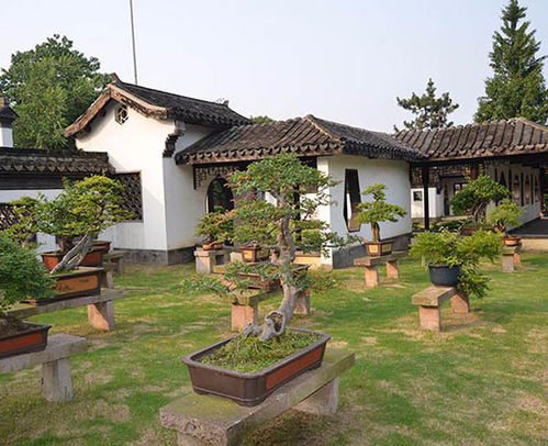 學校園林綠化工程常用指南,百通生態環境