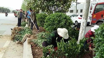 大明宮遺址區多措并舉,扎實做好增綠項目施工及綠化管護工作