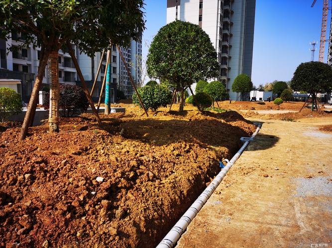 花家地最新工程進(jìn)度,小區(qū)園林綠化全面種植!_廣水房網(wǎng)