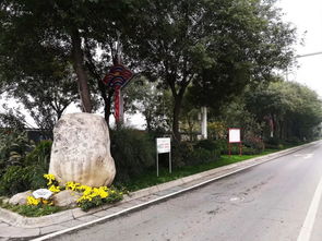 喜訊 人文園林在2018年度杭州市優(yōu)秀園林綠化工程評(píng)比中榮獲三金的佳績(jī)