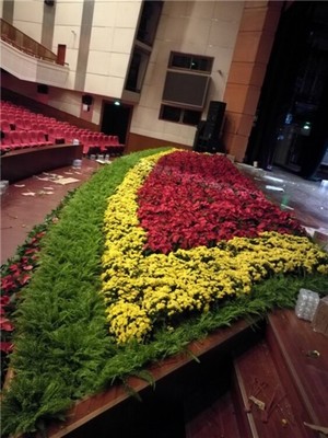 辦公室花木出租,西城區(qū)四季佳美綠植盆栽租賃