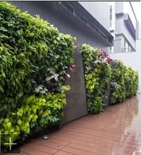 杭州植物墻 杭州商場垂直綠化植物墻 杭州道路園林綠化, 杭州植物墻 杭州商場垂直綠化植物墻 杭州道路園林綠化生產(chǎn)廠家, 杭州植物墻 杭州商場垂直綠化植物墻