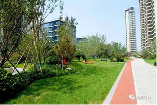 精文綠化 ┃金茂 中歐國際城 a2地塊 景觀施工 公園式社區(qū)