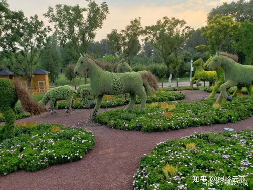 園林綠化施工五大細(xì)節(jié)要點(diǎn),提高成活率