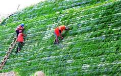 生態袋施工方法 河道護坡生態袋 植草生態袋,生態袋施工方法 河道護坡生態袋 植草生態袋生產廠家,生態袋施工方法 河道護坡生態袋 植草生態袋價格