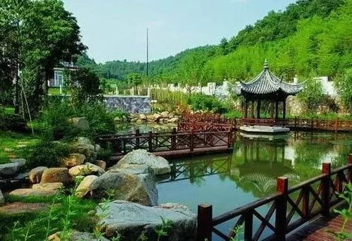 華東地區(qū)苗木交易市場行情不錯,這些熱銷苗木你種了嗎