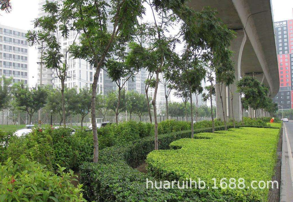供應(yīng)東莞市園林綠化養(yǎng)護 打藥 割草 東莞市綠化管理 東莞花草修剪
