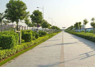 如何在市政道路園林施工完善綠化養(yǎng)護(hù)管理 好養(yǎng)護(hù)