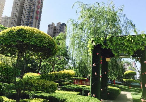科普貼士 園林綠化對(duì)購(gòu)房的重要性