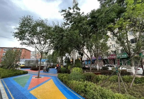 教育公園正式向市民開(kāi)放