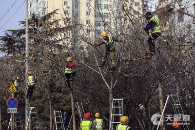 北京市石景山區(qū)園林綠化局綠化工程二隊(duì)