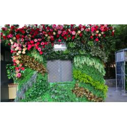 園林景觀設計 別墅花園 樓頂花園綠化設計施工批發