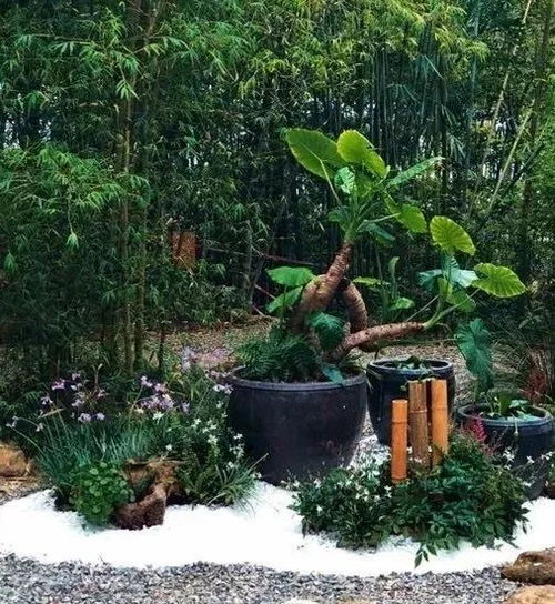 轉型的十字路口,園林綠化行業到底該怎么走