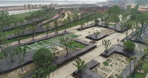 城市項目 鄂州首個水上植物園開園時間定了