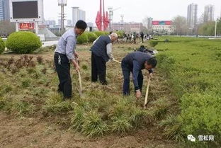 園林綠化工程施工技術規范大全 萬字長文