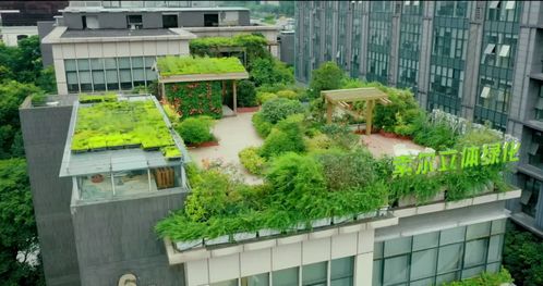 園林綠化怎么做廣告宣傳接單 網絡營銷推廣方案后,接到大工程訂單